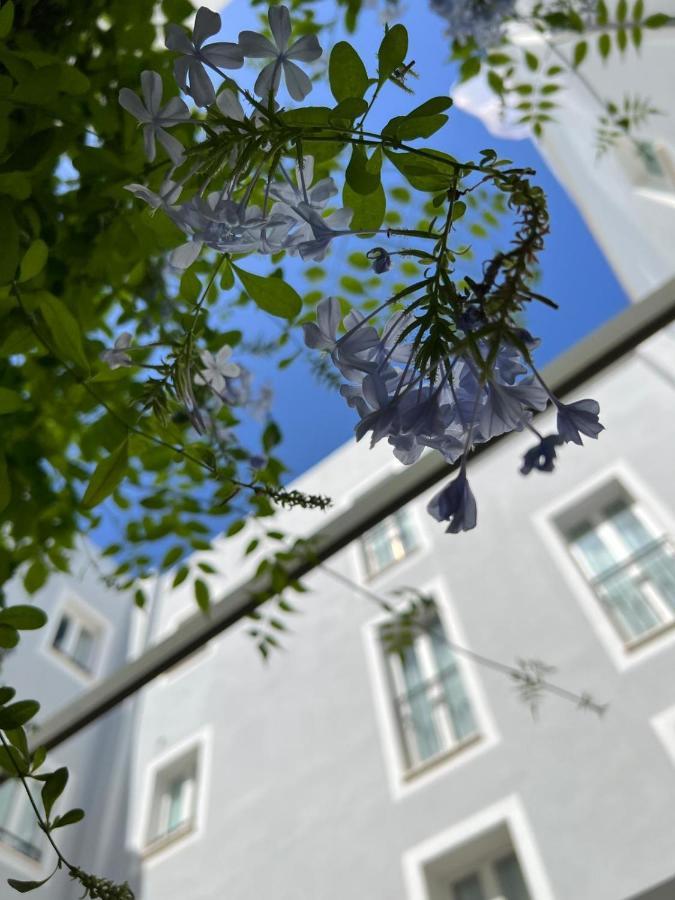 Hotel San Miguel Menorca 马翁 外观 照片